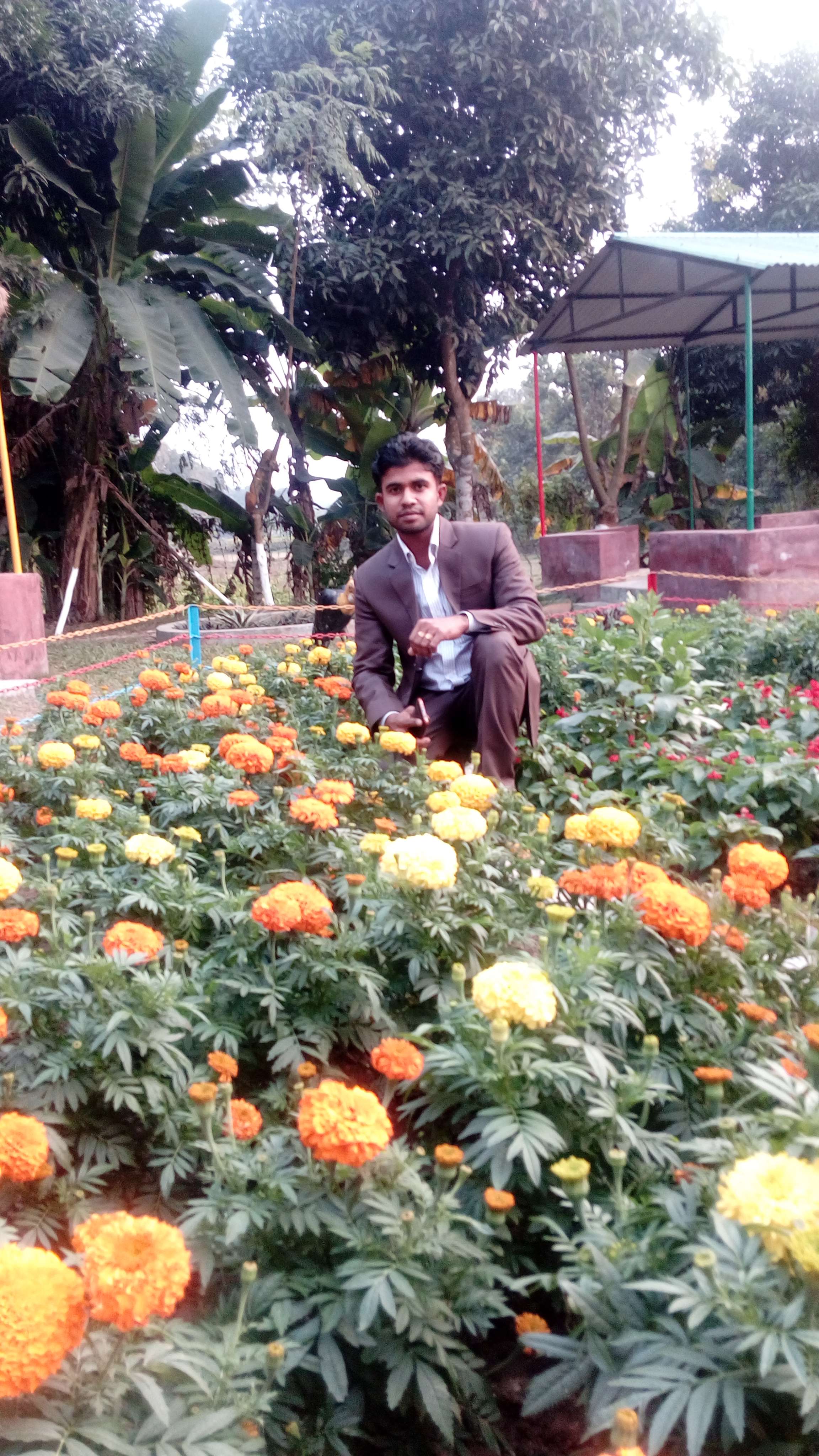 User Image