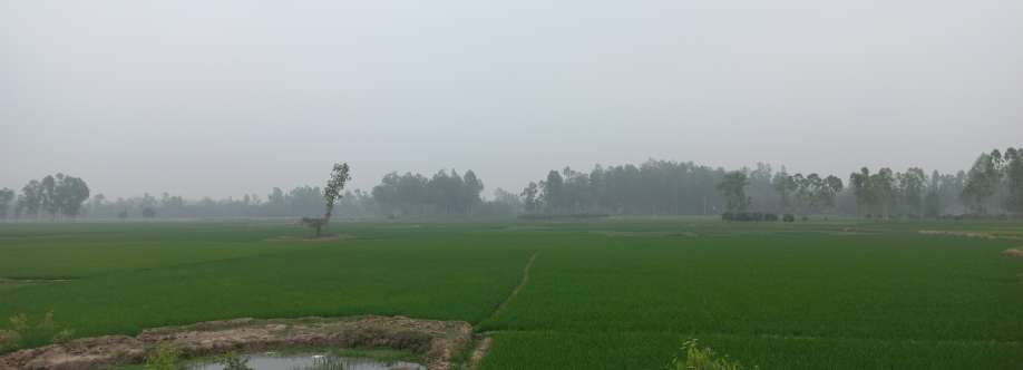 Shifat Ullah Cover Image