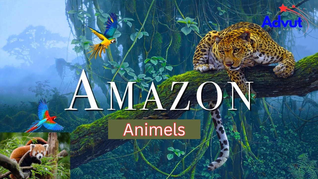 আমাজন রেইনফরেস্ট এর ভয়ঙ্কর সব প্রাণী | All the scary animals of the Amazon rainforest #advutmedia - YouTube