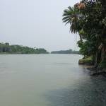 Village life Bangladesh profile picture