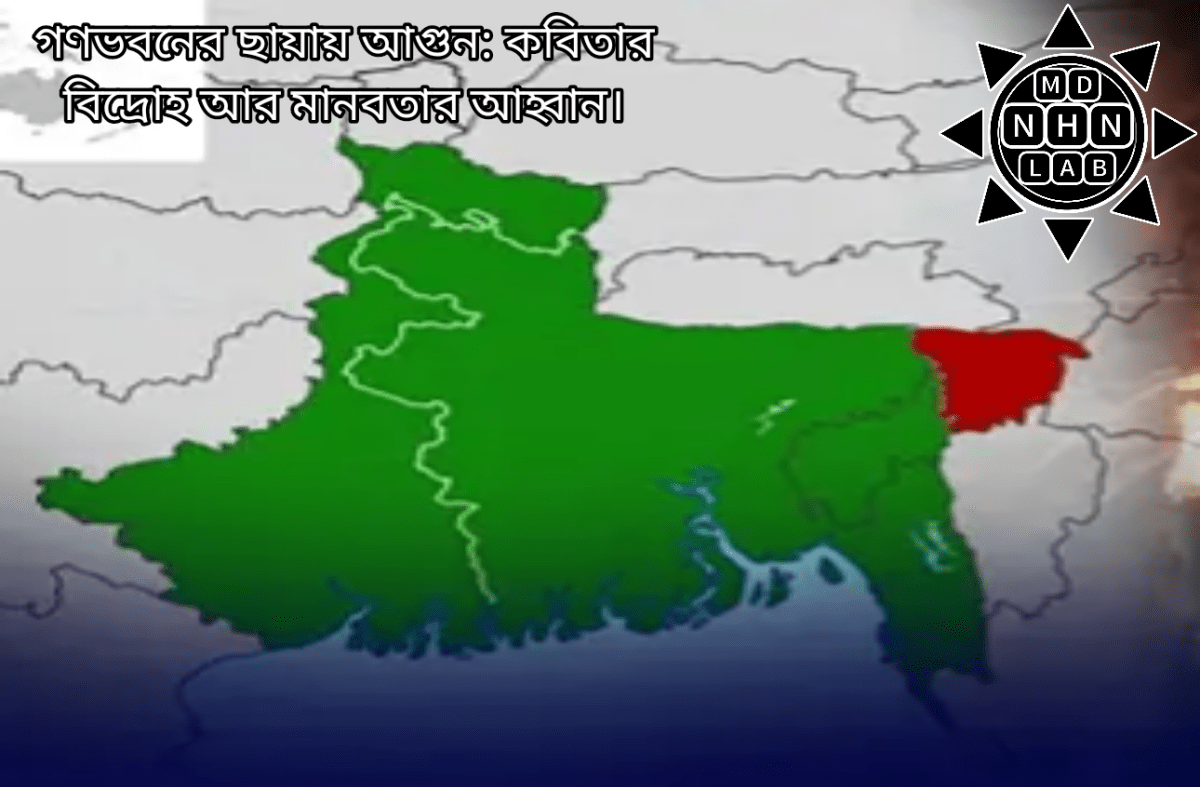 গণভবনের ছায়ায় আগুন: কবিতার বিদ্রোহ আর মানবতার আহ্বান। – মোঃ নাজির হোসেন নাঈম